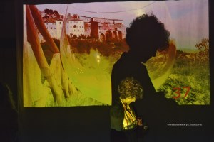 Verdecoprente7-ph.RossellaViti