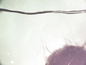 angelcapelli-23web-ph.rossellaviti