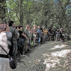 Vc15_oasi4_ph_rossellaviti