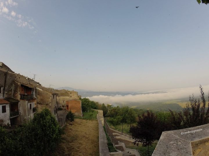 VerdecoprenteCard_Giove